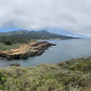 Meet your Posher, Karlie